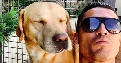 El perro de cristiano ronaldo petmondo international
