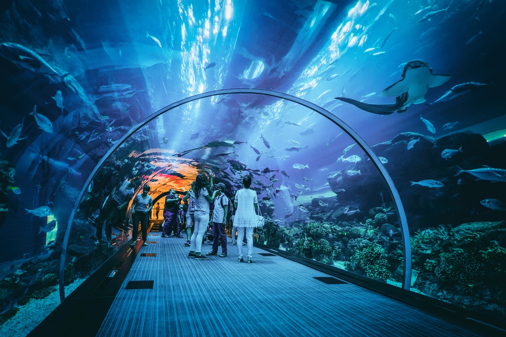 Dubai Mall Aquarium los 5 acuarios más grandes del mundo